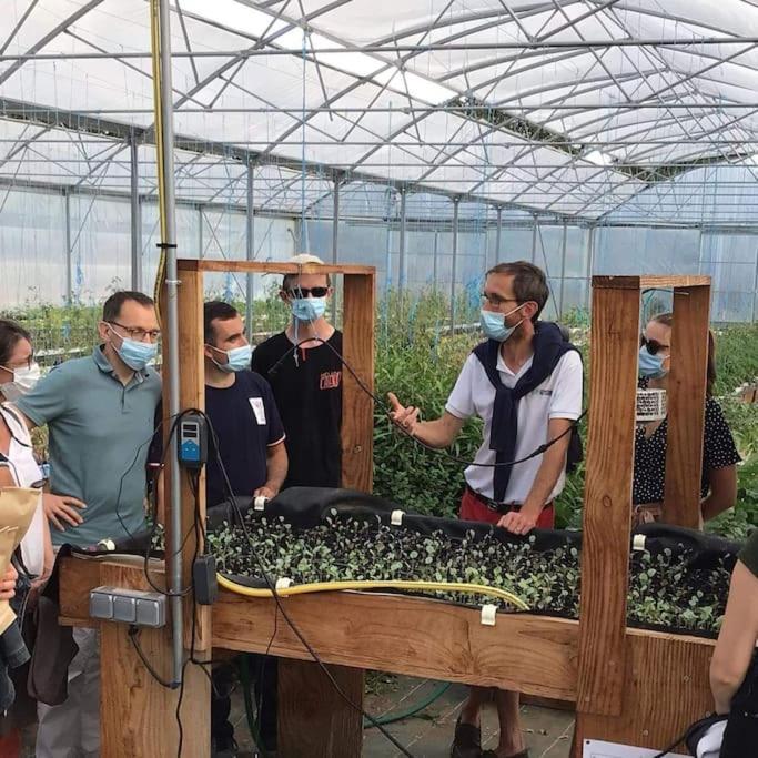 Montbron Maison De Campagne, Bulle De Verdure المظهر الخارجي الصورة